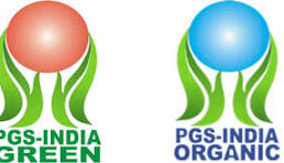 PGS India